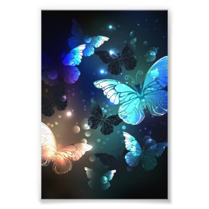 Fluttering Night Butterfly Fototryck