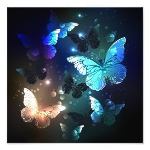 Fluttering Night Butterfly Fototryck