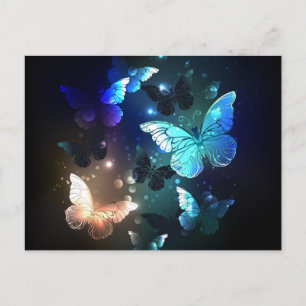 Fluttering Night Butterfly Meddelande Vykort