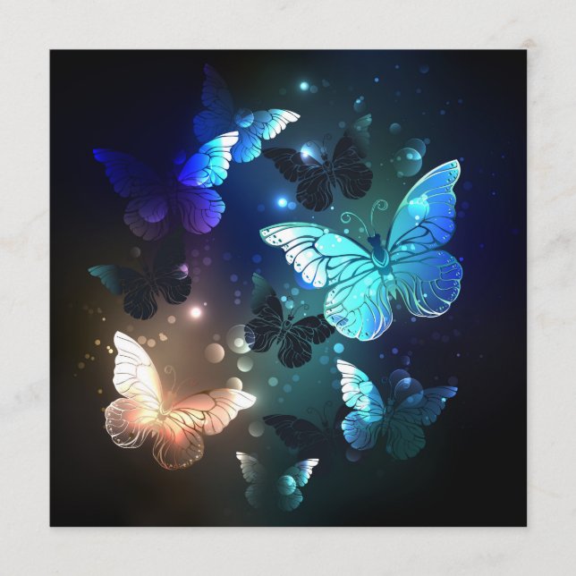 Fluttering Night Butterfly Program (Framsida)