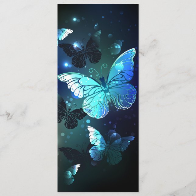 Fluttering Night Butterfly Program (Framsida)