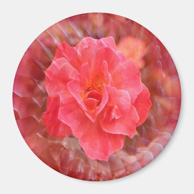 Fluttering Petals...... Magnet (Framsidan)