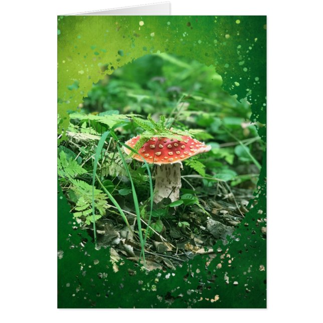 Fly Agaric - 5 tum x 7 tum Art Card Hälsningskort (Framsidan)