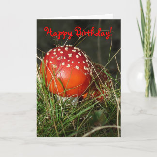 "Fly Agaric Mushroom" födelsedagskort Kort