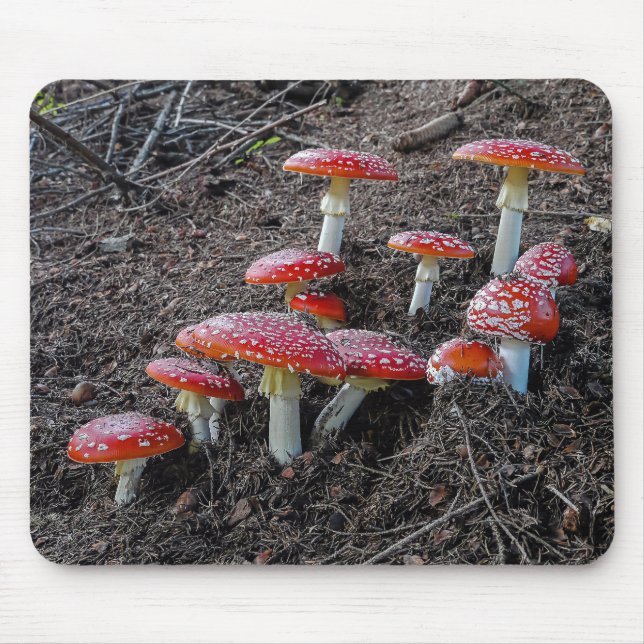 Fly agaric musmatta (Framsidan)