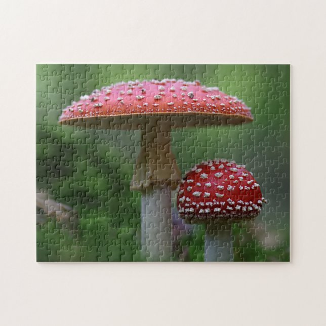 Fly Agaric Red Svamp Foto Puzzle Pussel (Horisontell)