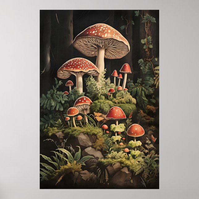 Fly Agaric Svamp Tryck, Mörk Akademi Poster (Framsidan)