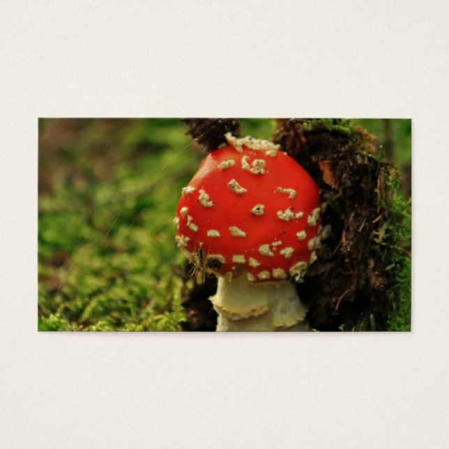Fly Agaric Visitkort (Framsidan)