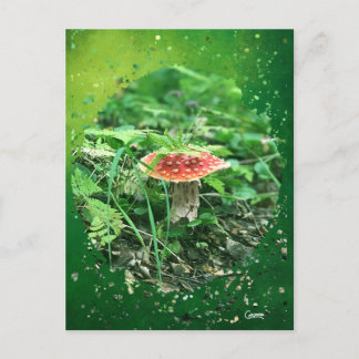 Fly Agaric - vycard Vykort
