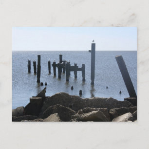 Fly Away Creole River Postcards Vykort