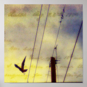 Fly Away Poster