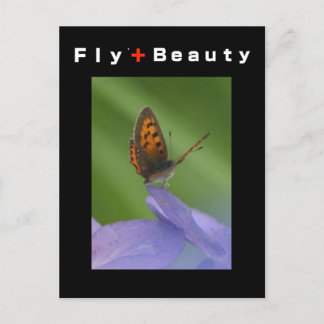 FLY + Beauty Vykort