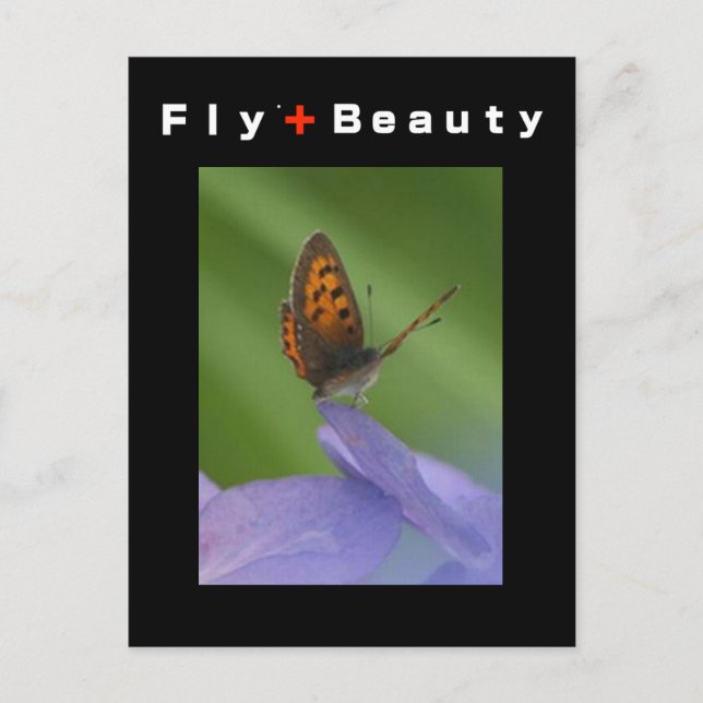 FLY + Beauty Vykort (Framsida)