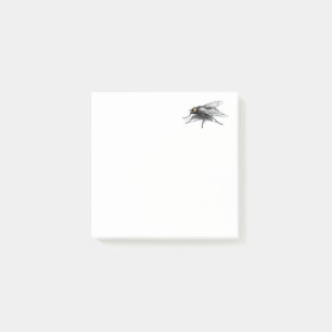 Fly Buddy White Note-dynor Post-it Block