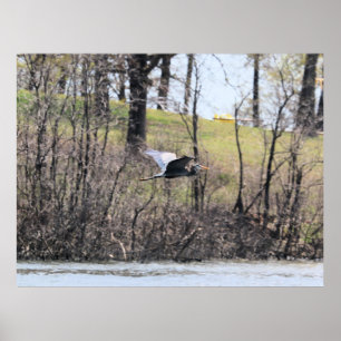 Fly by poster