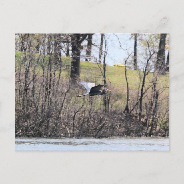 Fly by vykort (Framsida)