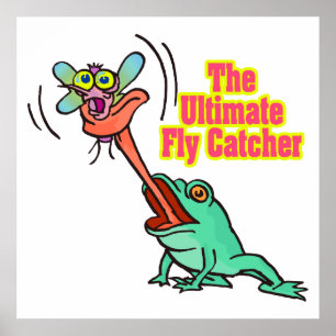Fly catcher lustig groda poster