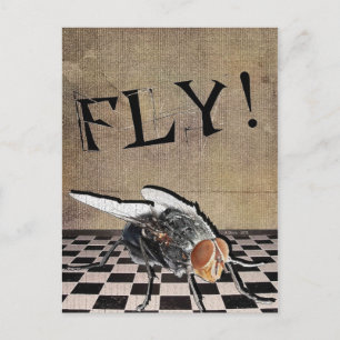 Fly! Fly! Fly! Vykort