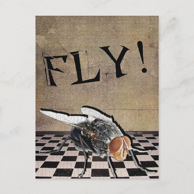 Fly! Fly! Fly! Vykort (Framsida)