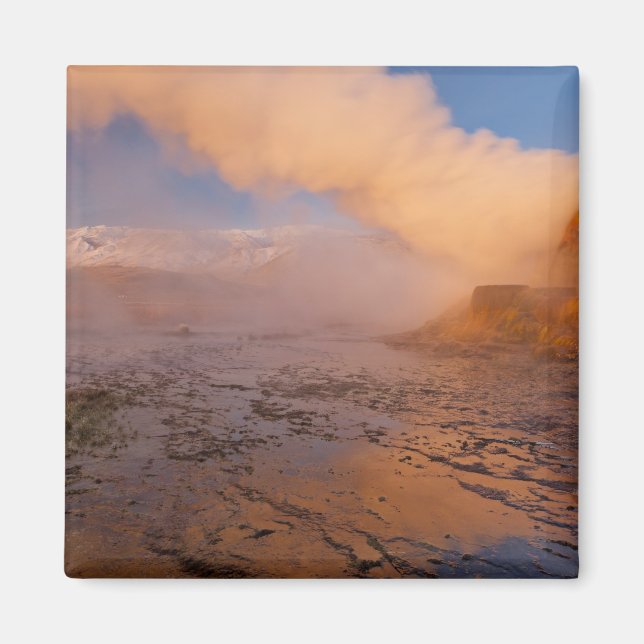 Fly Geyser i Black Rock Desert Magnet (Framsidan)