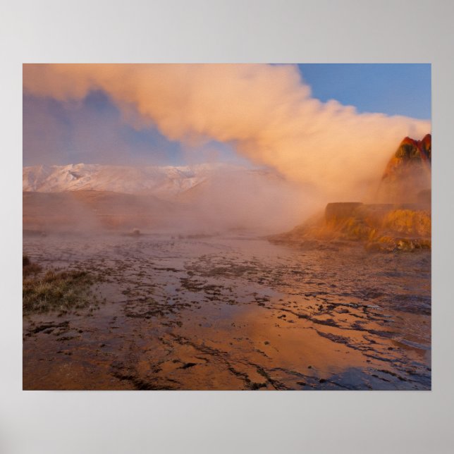 Fly Geyser i Black Rock Desert Poster (Framsidan)