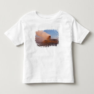 Fly Geyser med snötäckta Granite Range Tee Shirt