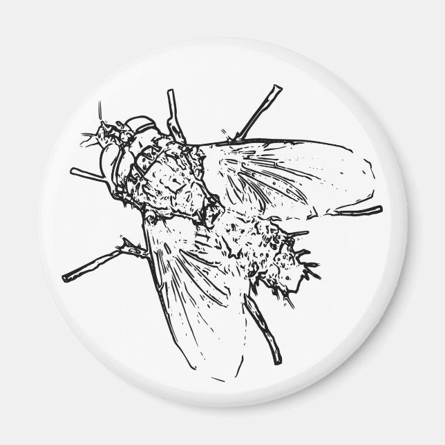 Fly Magnet (Framsidan)