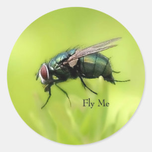 Fly Me Klistermärke