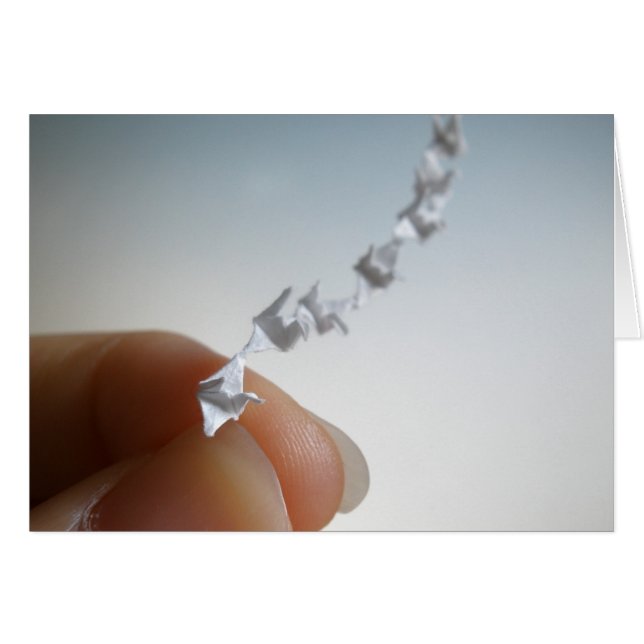 Fly OBS Kort (Framsidan Horizontal)