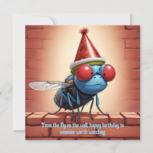 Fly på Wall Birthday: Satirisk Roligt! Kort