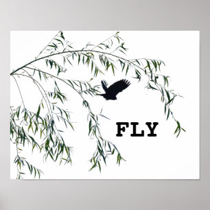 Fly Poster