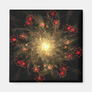 Fly supernovaen magnet