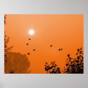 Fly vid daglig utskrift poster