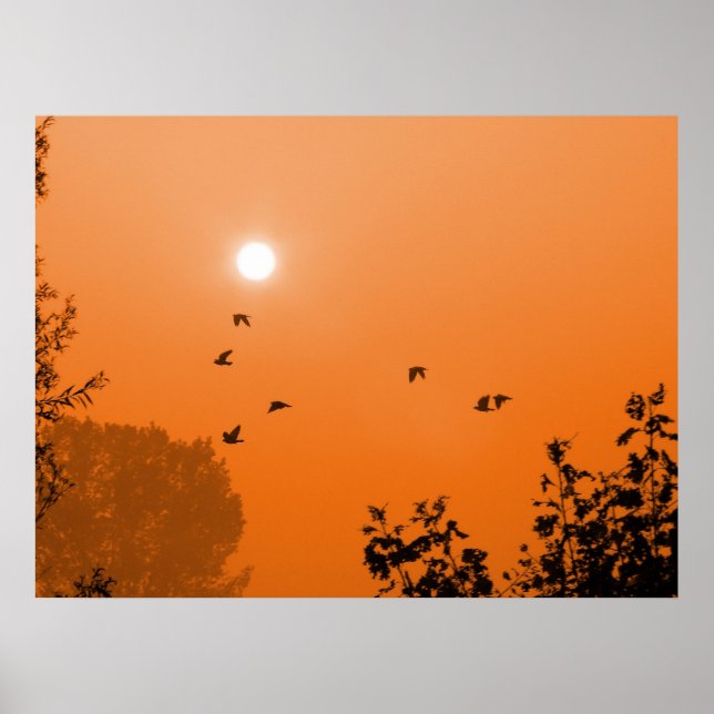 Fly vid daglig utskrift poster (Framsidan)