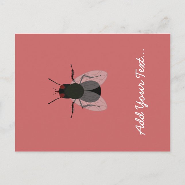 Fly Vykort (Framsida)