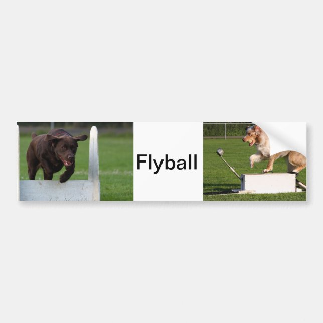 Flyball Bildekal (Framsidan)