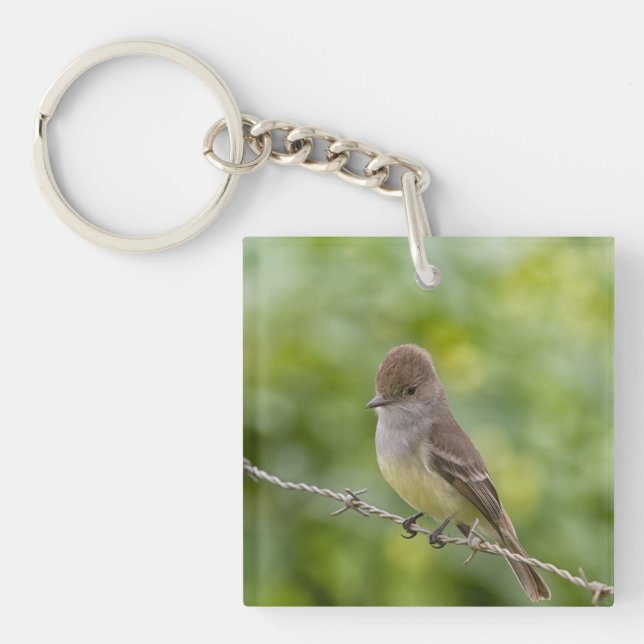 Flycatcher (Framsidan)