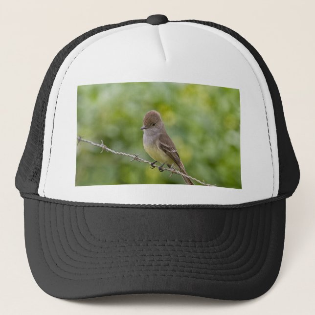 Flycatcher Keps (Framsida)