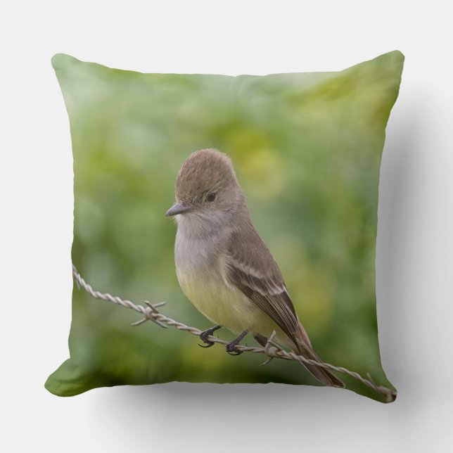 Flycatcher Kudde (Framsida)