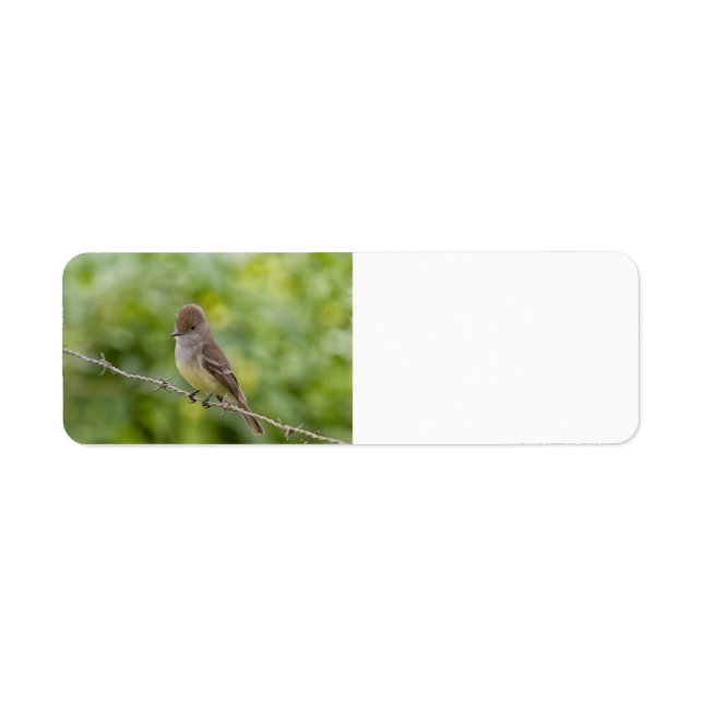 Flycatcher Returadress Etikett (Framsidan)