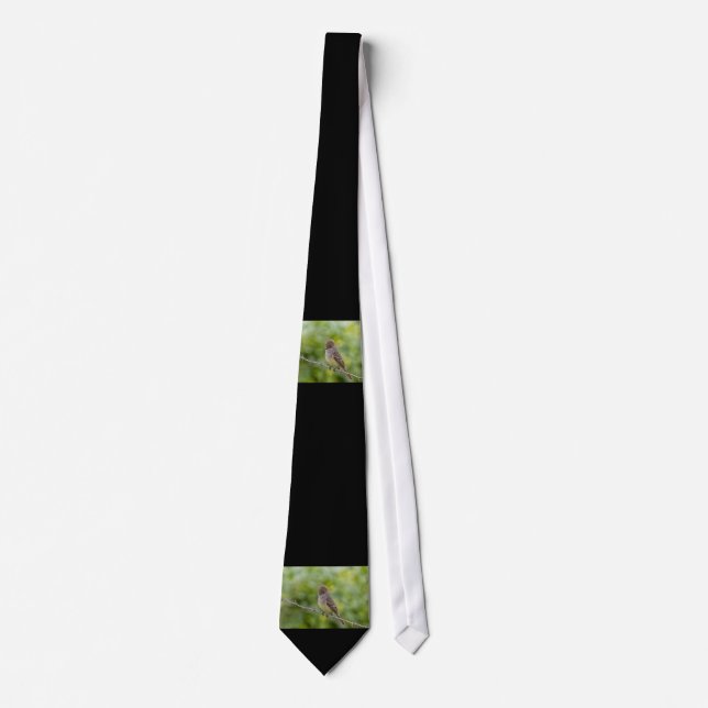 Flycatcher Slips (Framsida)