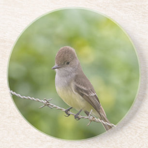 Flycatcher Underlägg