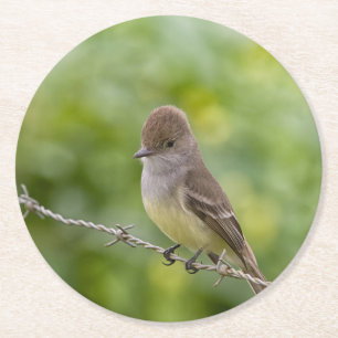 Flycatcher Underlägg Papper Rund