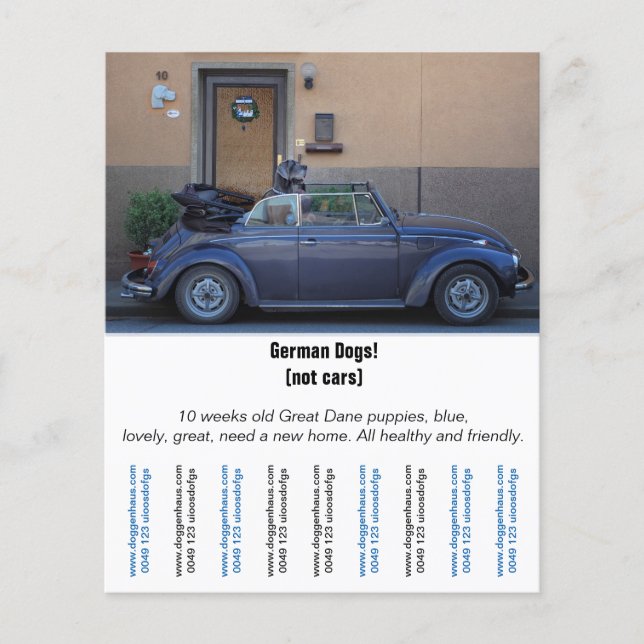Flyer ’Car Seller’ (Framsidan)