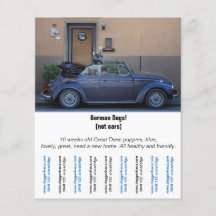 Flyer ’Car Seller’