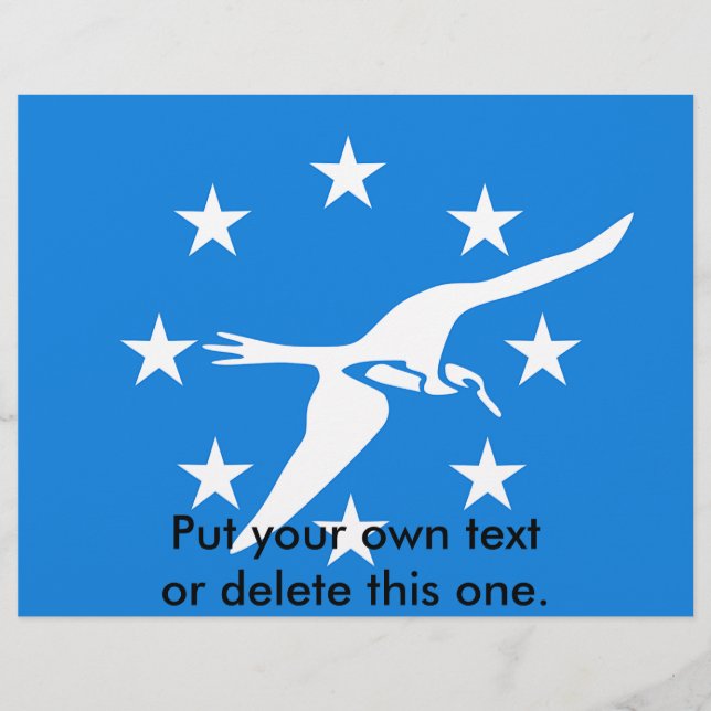 Flyer med Flagga av Corpus Christi, USA (Framsidan)