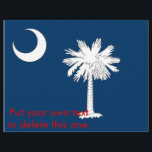 Flyer med Flagga av South Carolina, USA<br><div class="desc">Lägg till en liten bit av South Carolina-pridet till dina meddelanden med vår exklusiv-flygare med flagga South Carolina! Designad med uppmärksamhet på detaljer integrerar flygplanet det ikoniska Palmetto träd och det halvmånne måne från South Carolina flagga, och erbjuder ett utmärkande sätt att förmedla ert budskap. Oavsett om du befordrar en...</div>