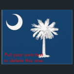 Flyer med Flagga av South Carolina, USA<br><div class="desc">Lägg till en liten bit av South Carolina-pridet till dina meddelanden med vår exklusiv-flygare med flagga South Carolina! Designad med uppmärksamhet på detaljer integrerar flygplanet det ikoniska Palmetto träd och det halvmånne måne från South Carolina flagga, och erbjuder ett utmärkande sätt att förmedla ert budskap. Oavsett om du befordrar en...</div>