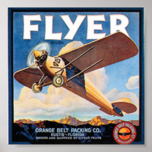 Flyer Poster