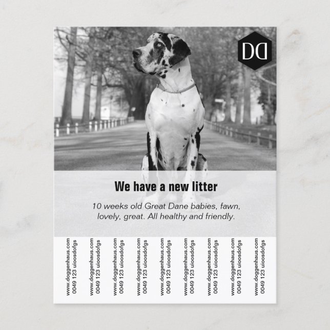 Flyer ’Seller’ (Framsidan)